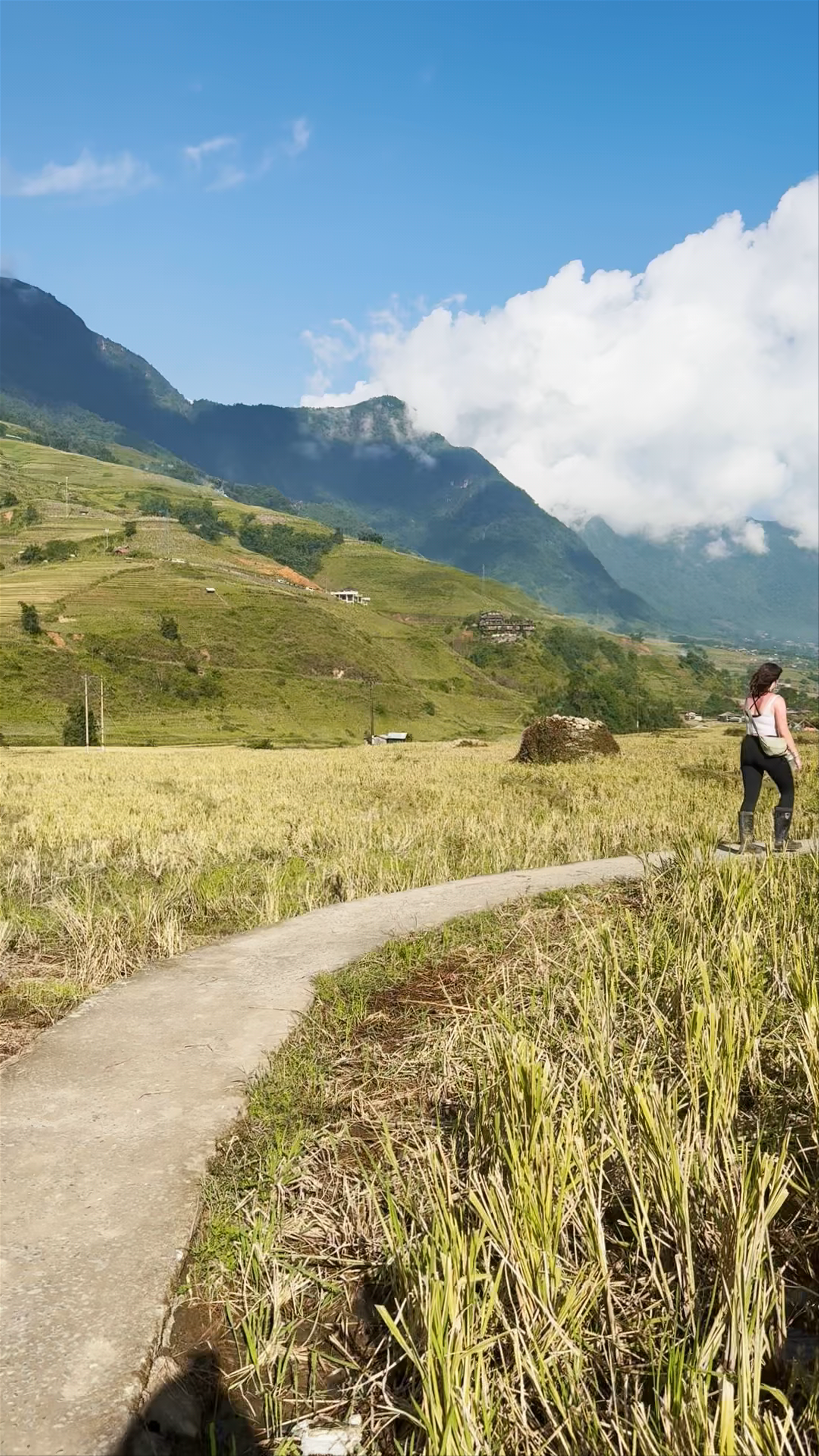 Big Tree Hmong Homestay