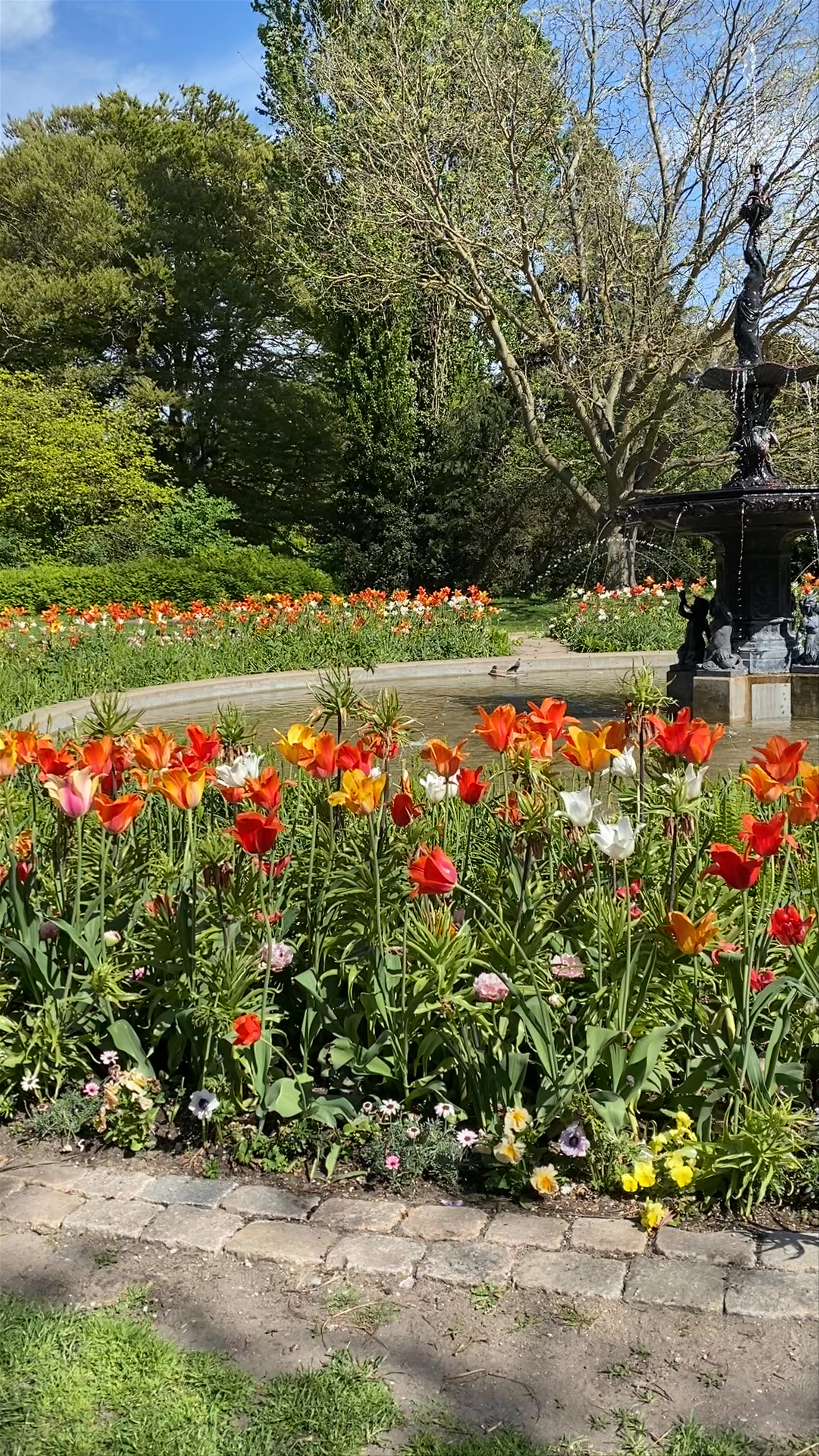 Springtime Serenity at Kungsparken, Malmö