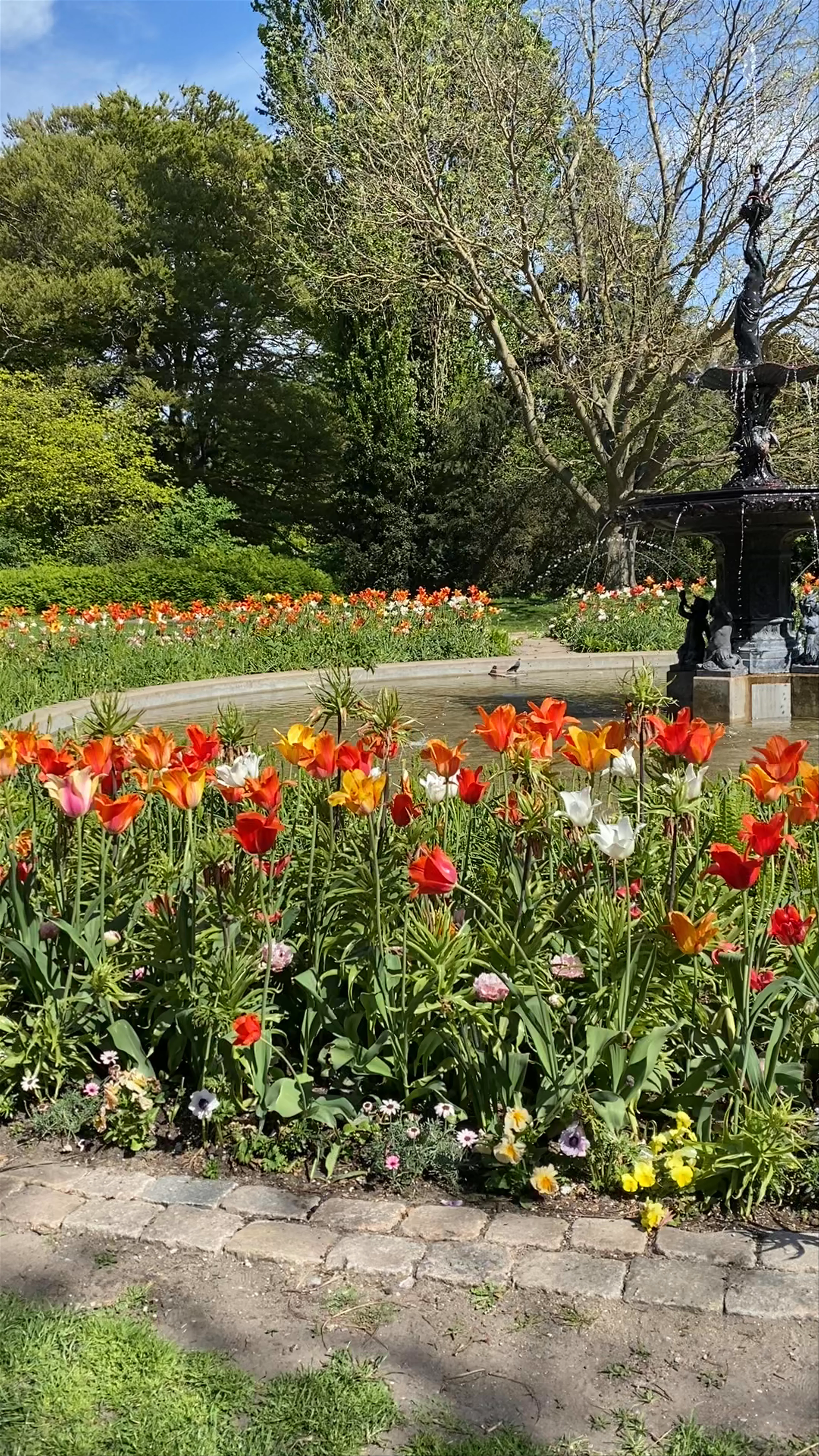 Kungsparken