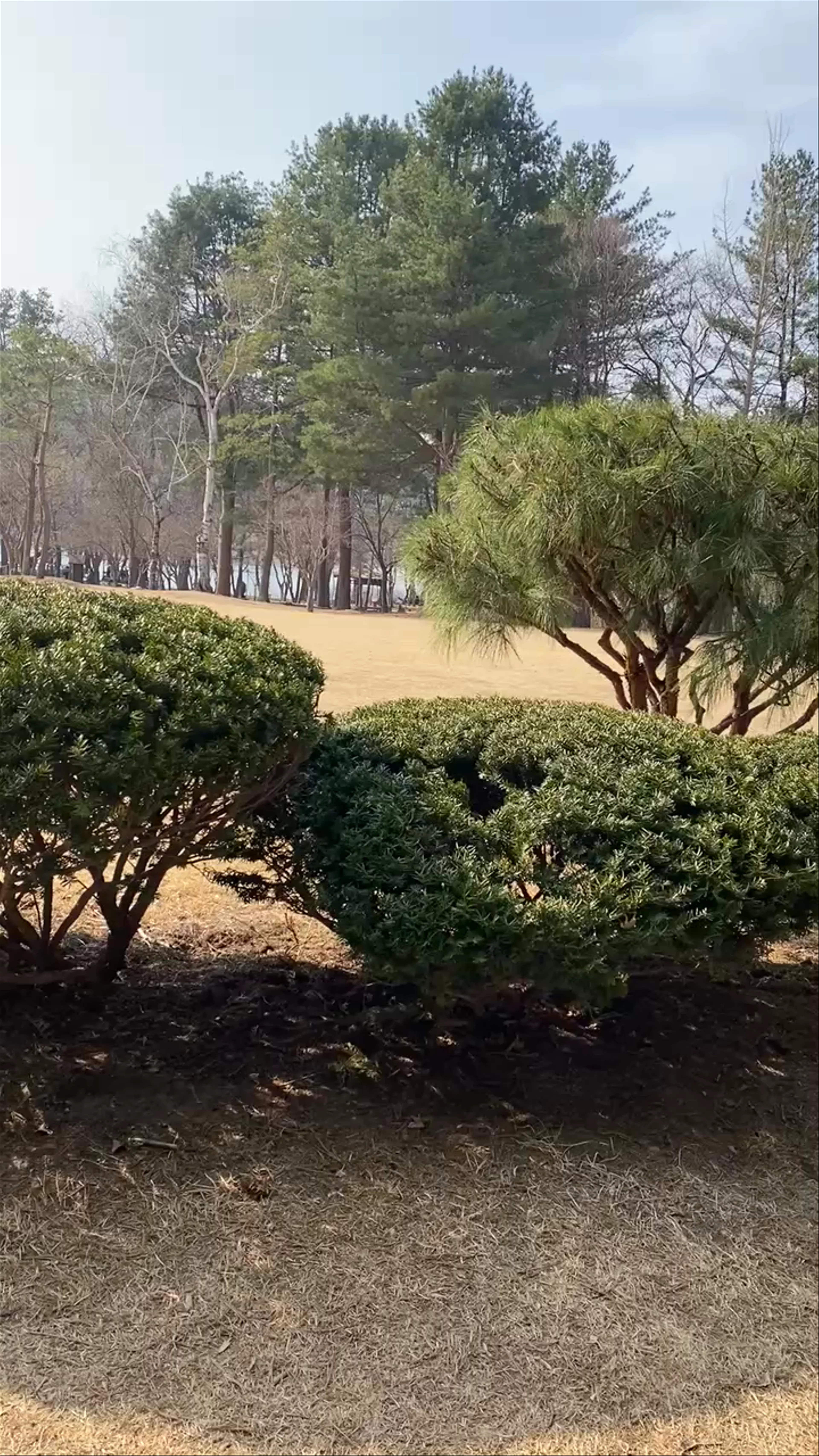 Nami Island