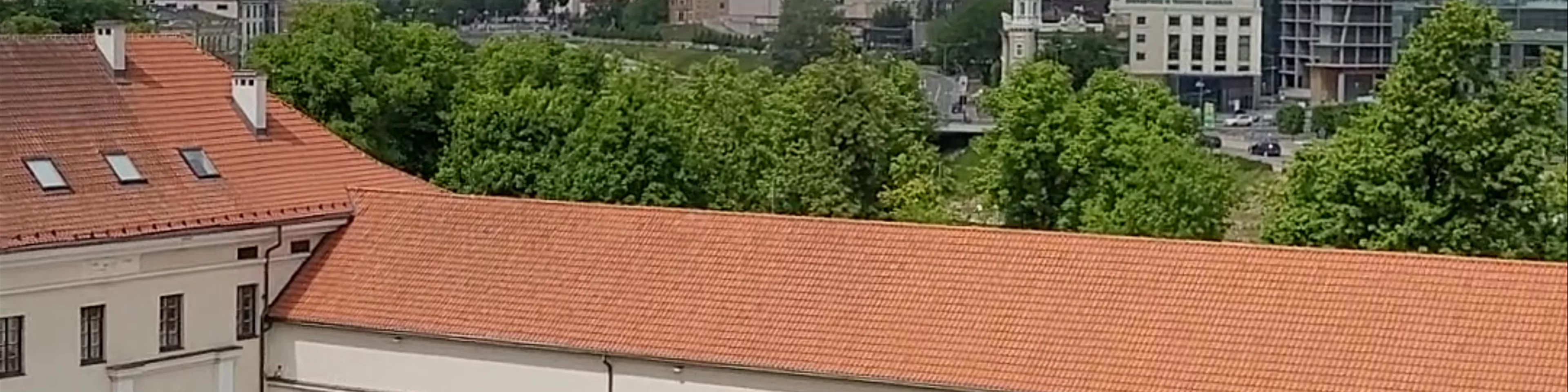 Gediminas Castle Tower