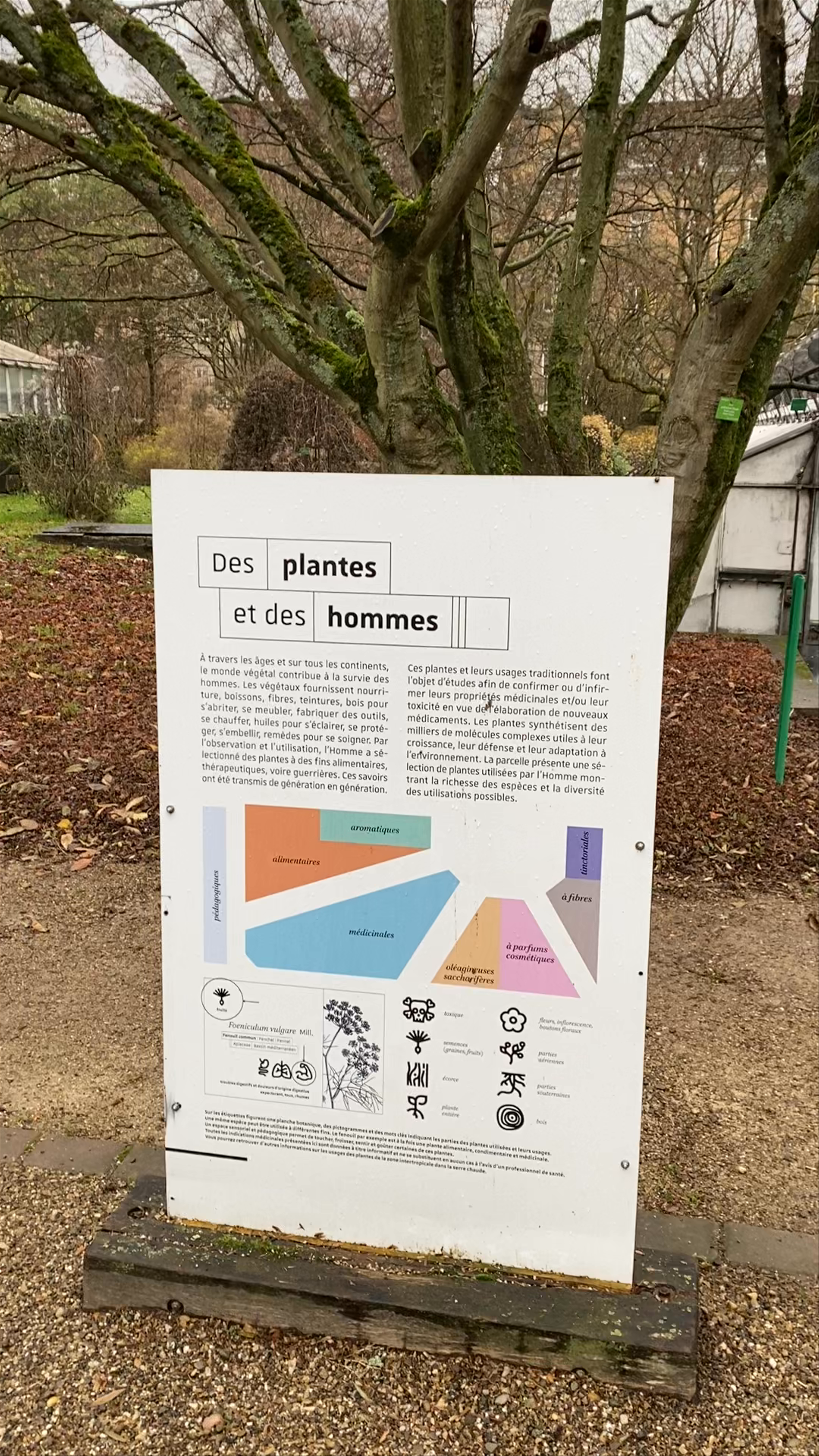 Botanical Gardens of Strasbourg University