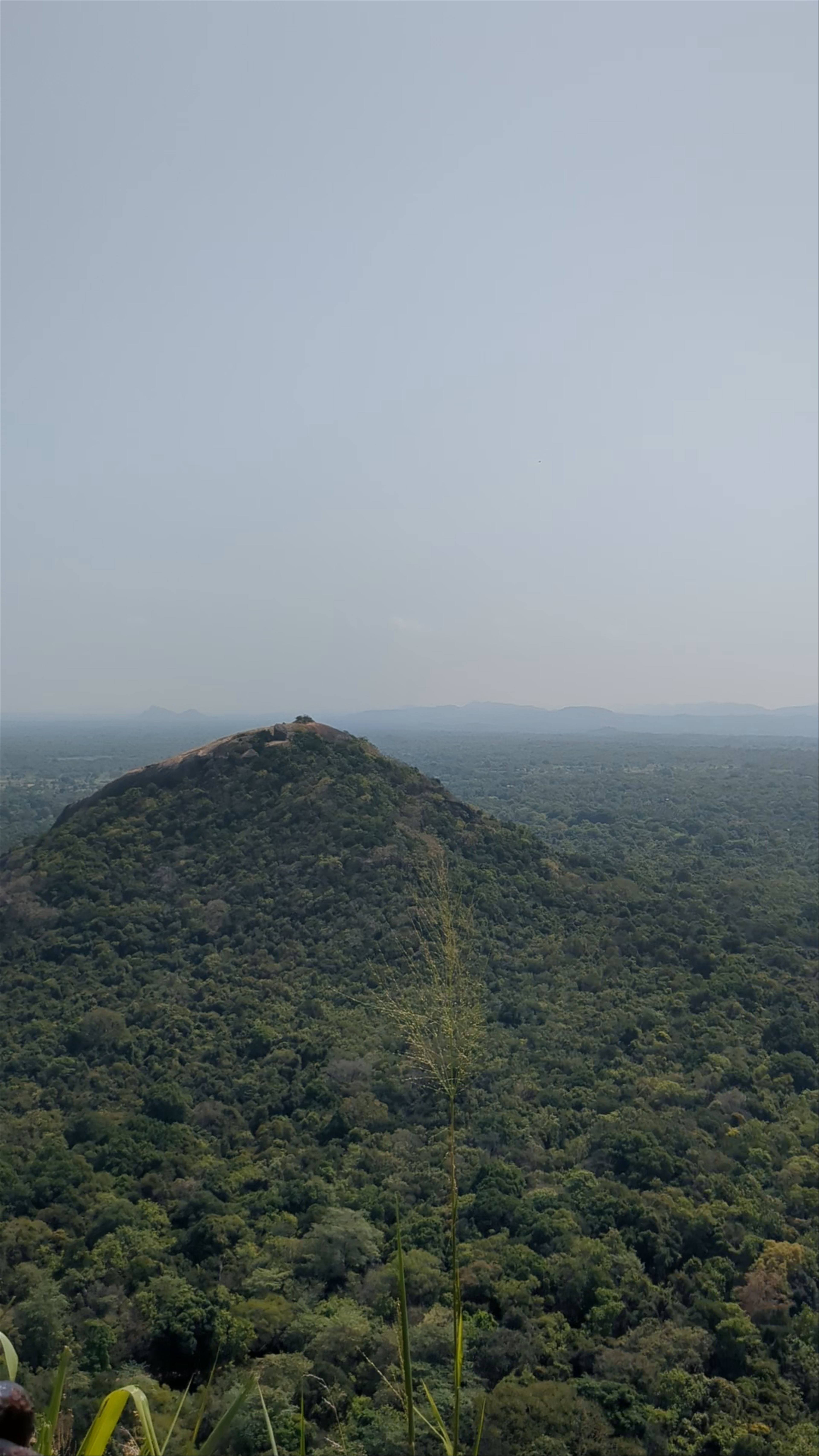 Sigiriya Fortress