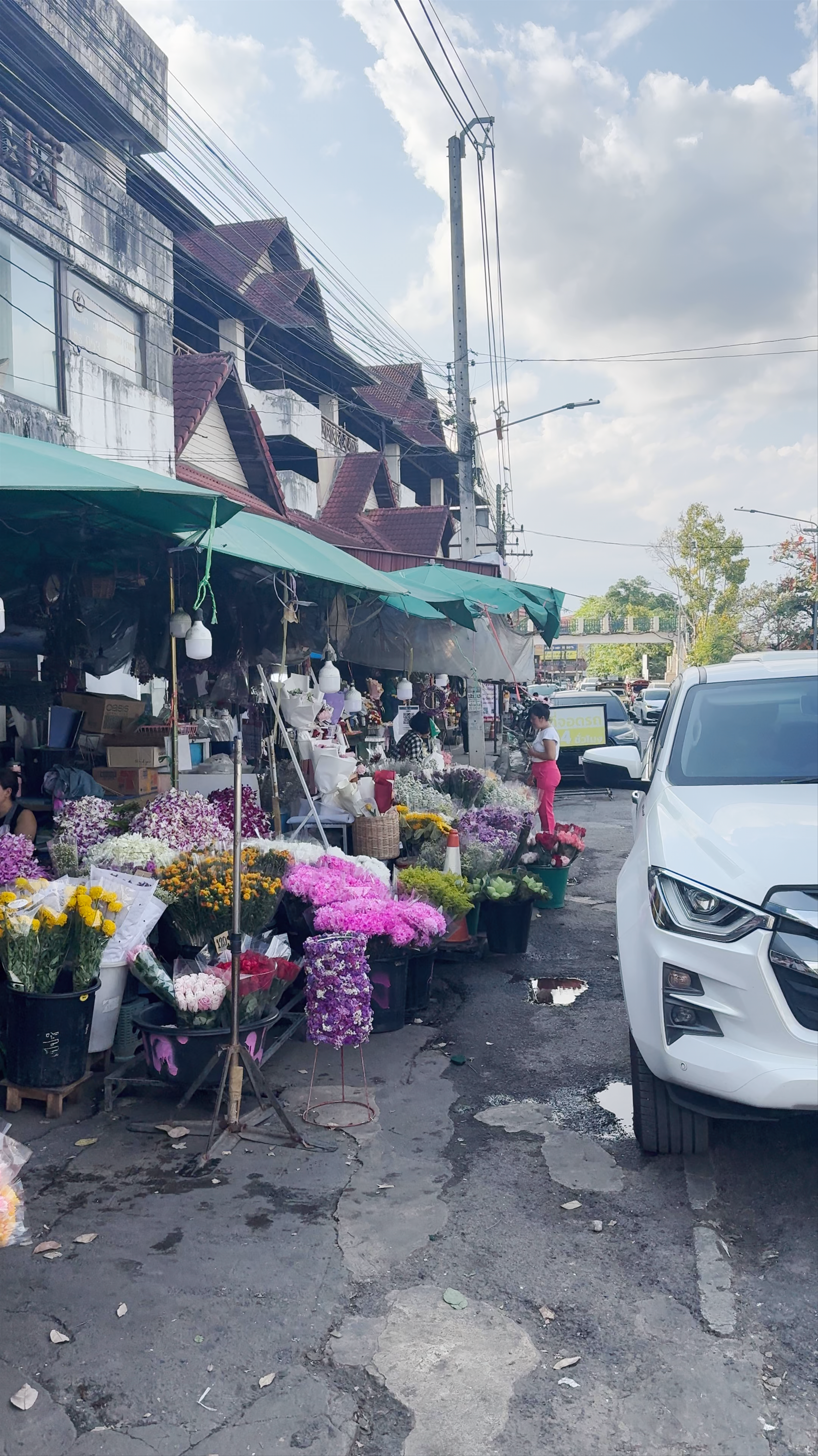 Florist Market Mueang Chiang Mai: A Blooming Oasis in Northern Thailand