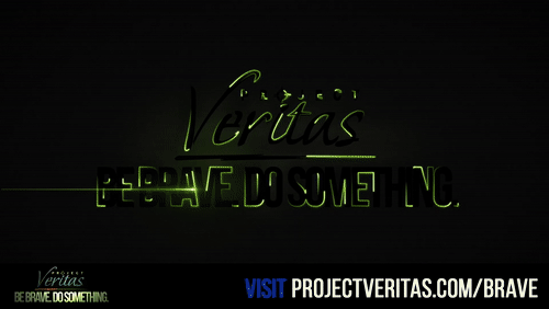 Video Thumbnail Loop