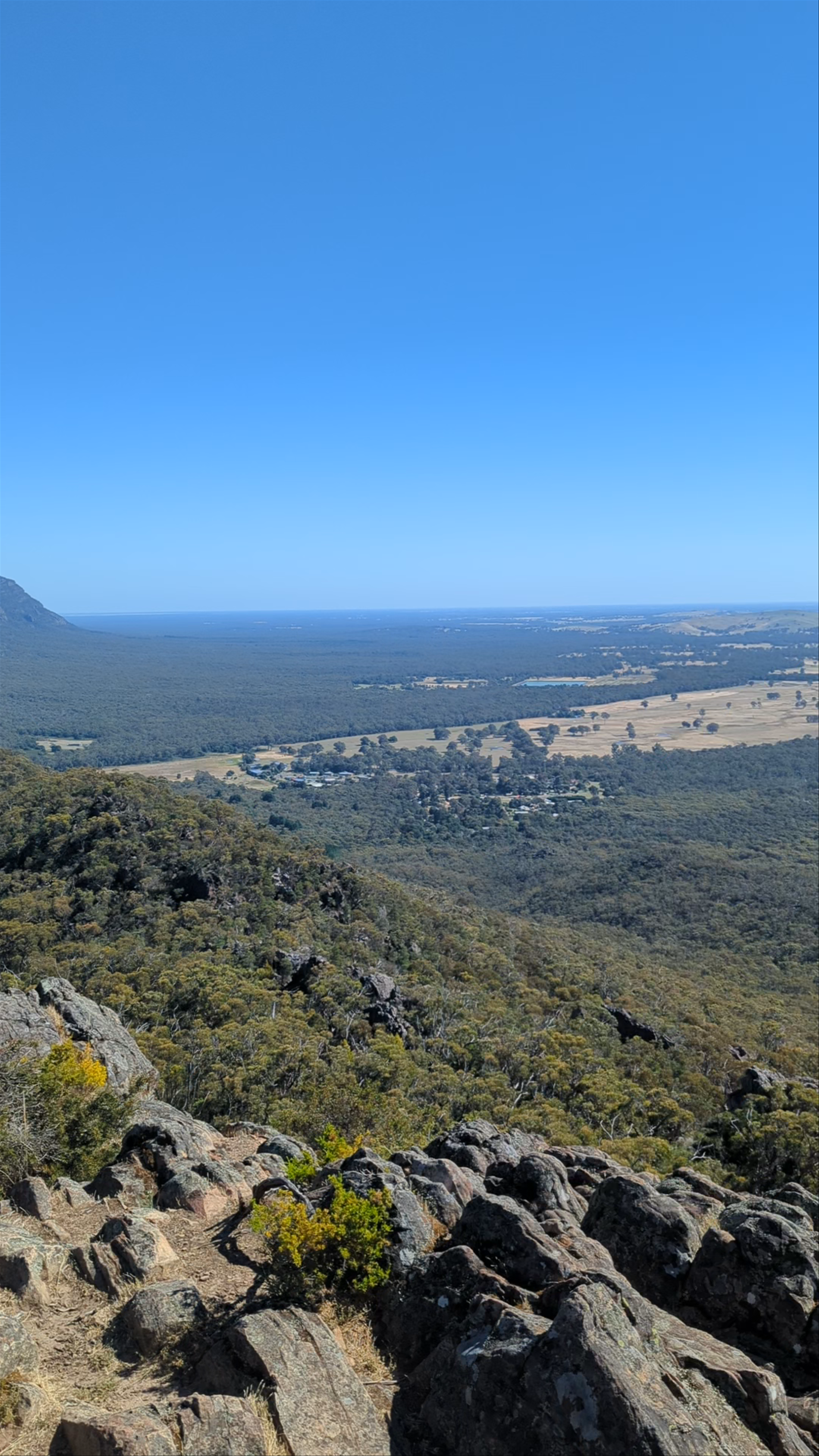 Boronia Peak