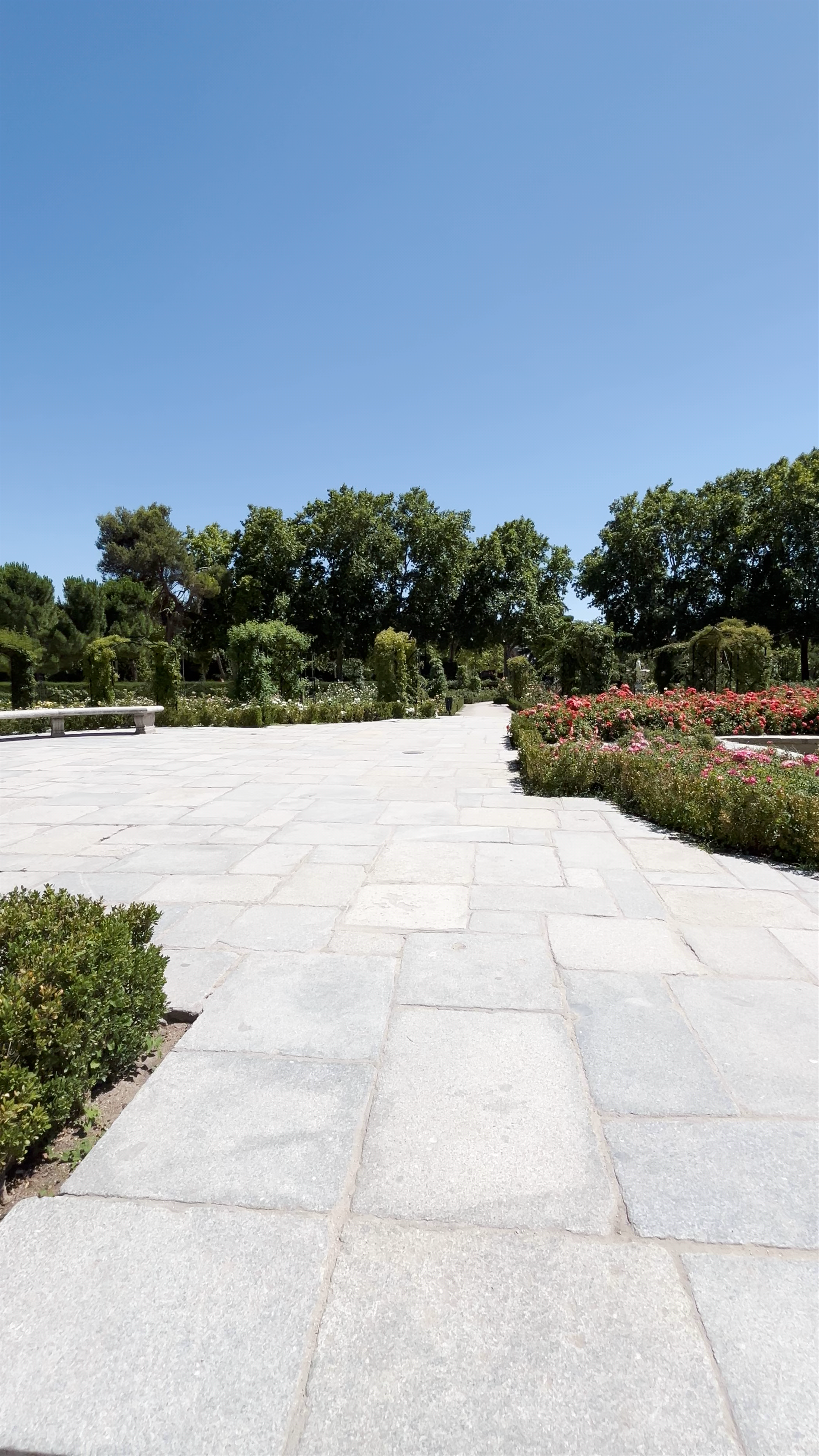 Rosaleda del Parque de El Retiro