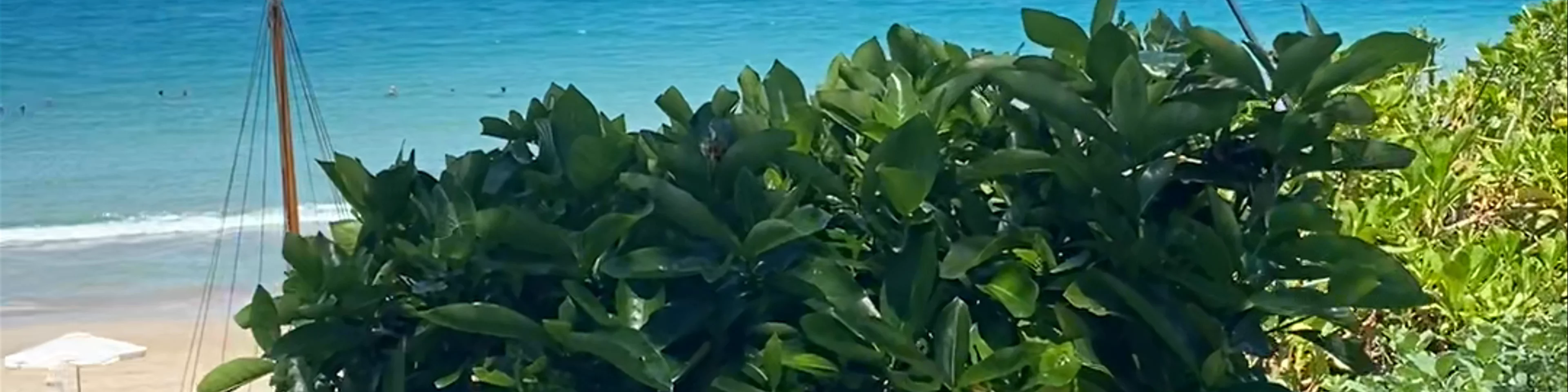 Mauna Kea Beach Hotel, Autograph Collection