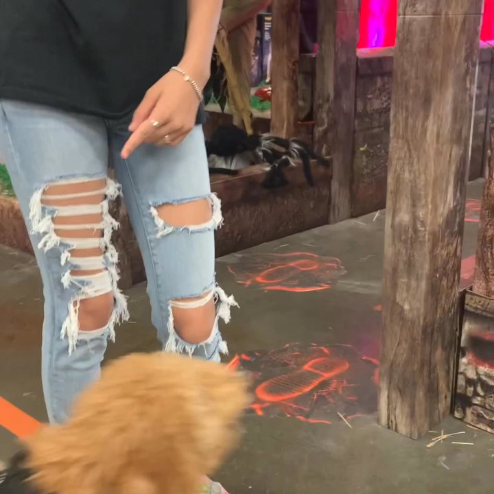 Spirit Halloween - there the vid proof that he was barking at the display not a customer. horrible customer service didn't even reply at my view. horrible. - Party Supplies Near Me - Folsom, California