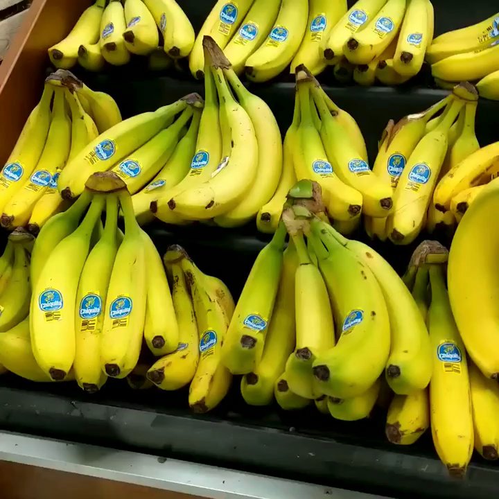 Farm Boy - There is a swinging monkey above the bananas. I love this! - Grocery Near Me - Pickering, Ontario