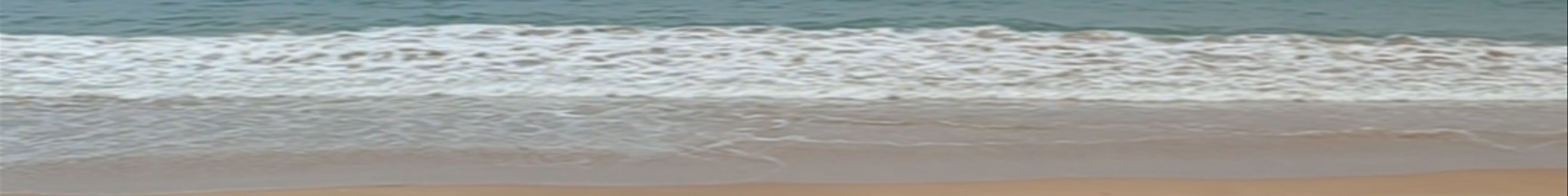 Tours & experiences in Port Elliot