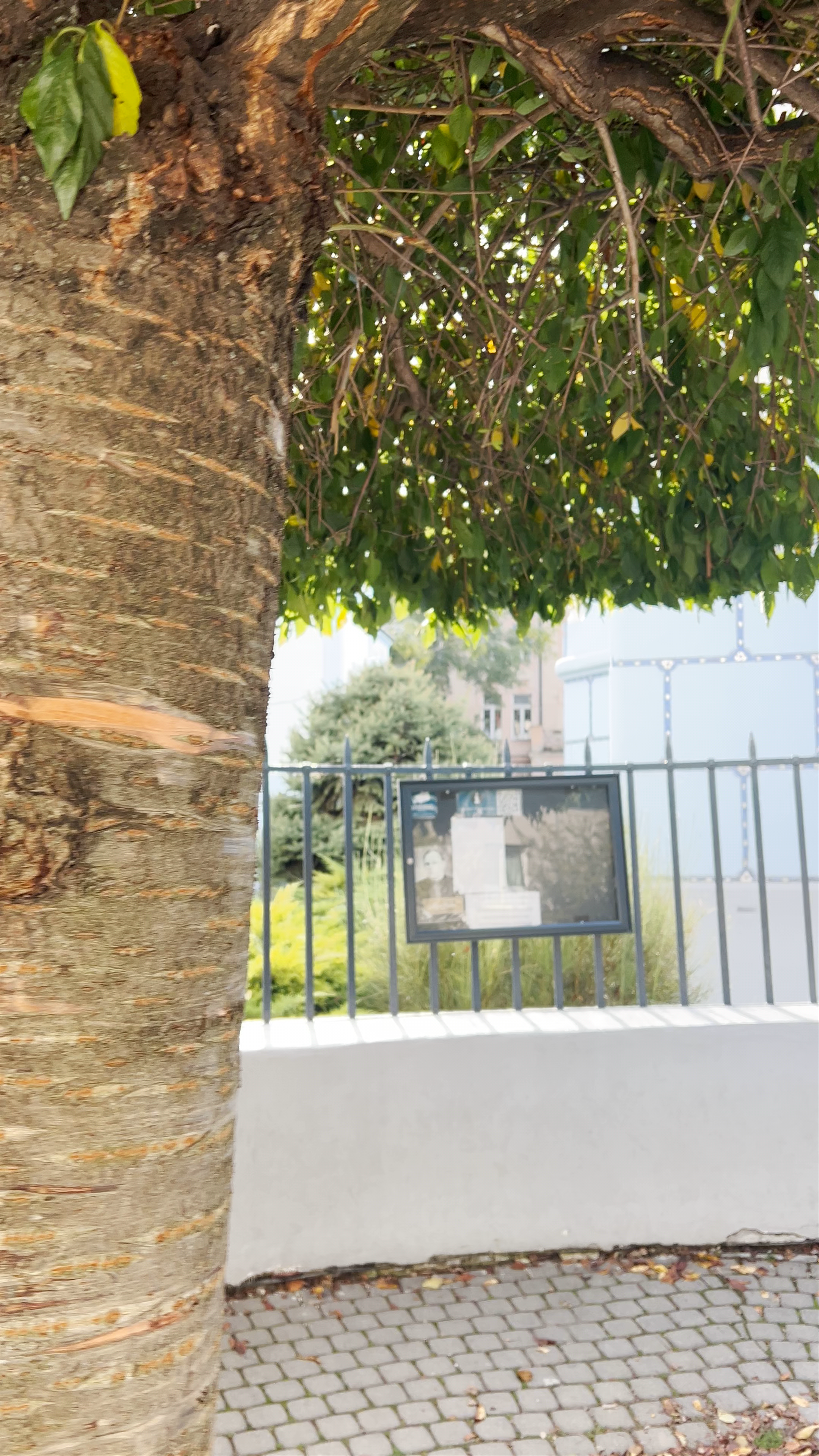 The Blue Church - Church of St. Elizabeth