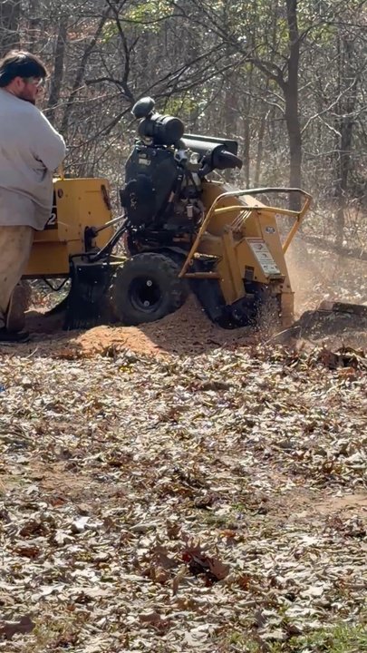 Lobo Tree Service - Tree Services Near Me - Longview, Texas