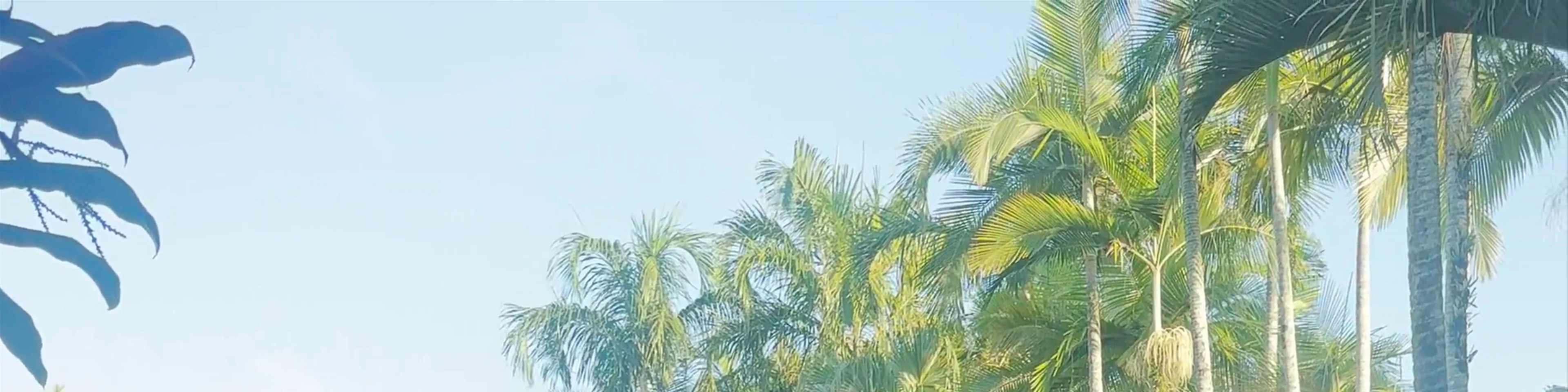 Palm Royale Cairns