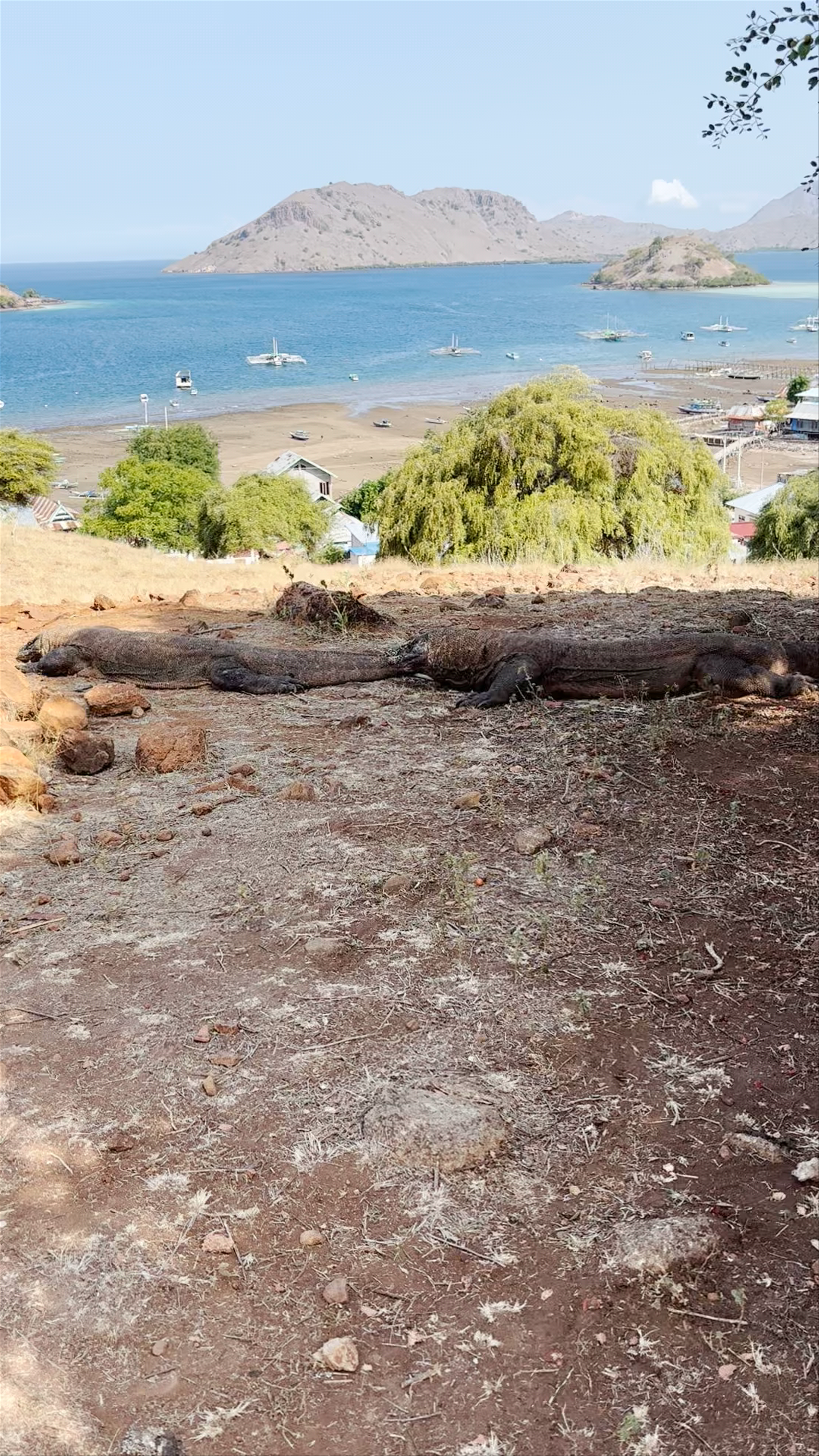Komodo National Park