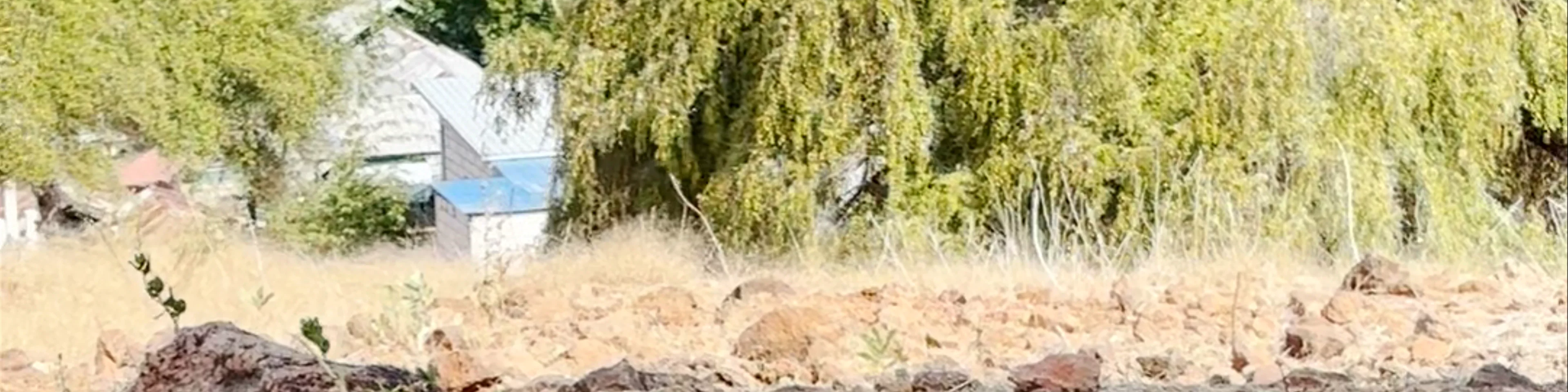 Komodo National Park