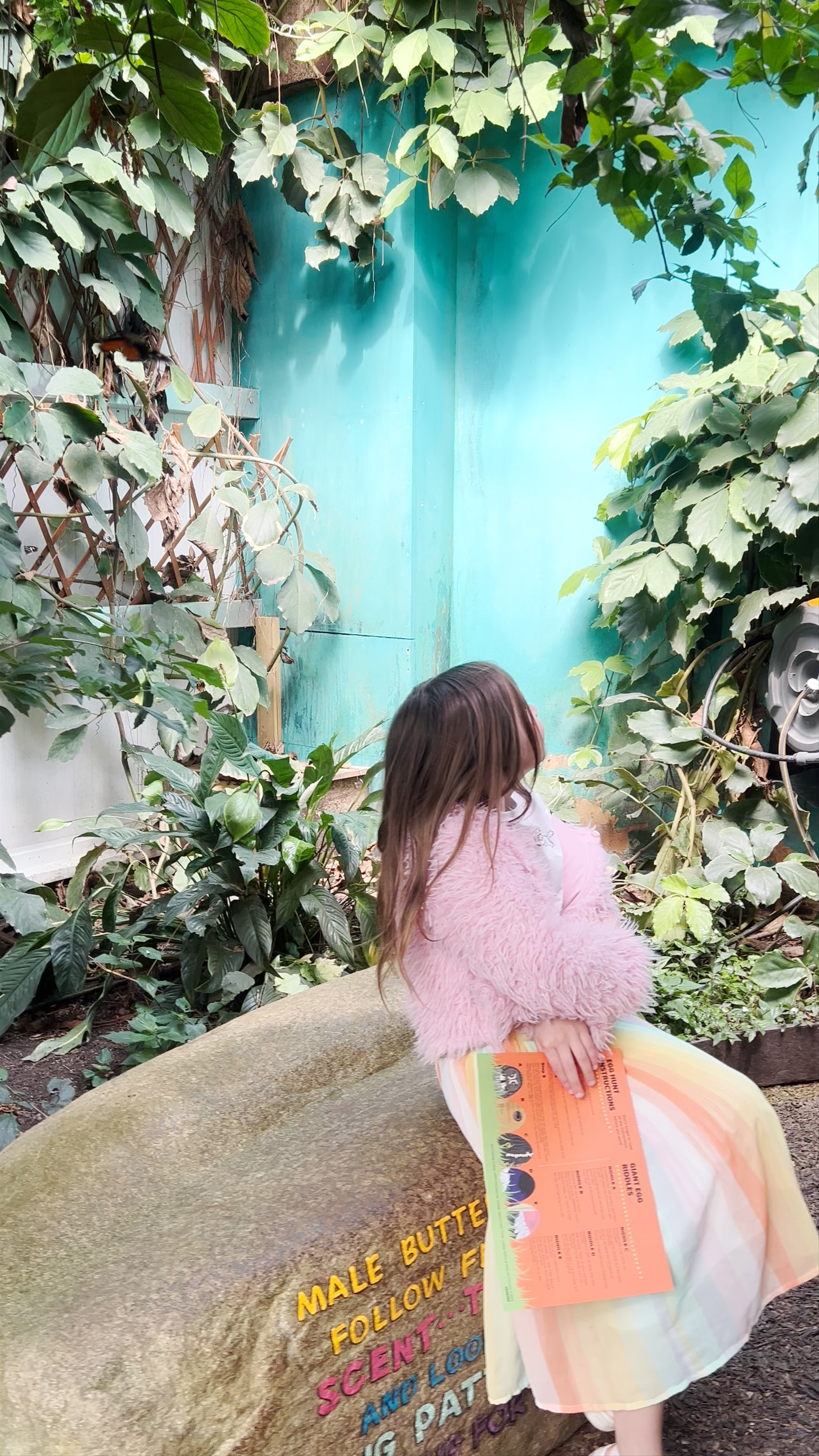 Whipsnade Zoo Butterfly House Exploration