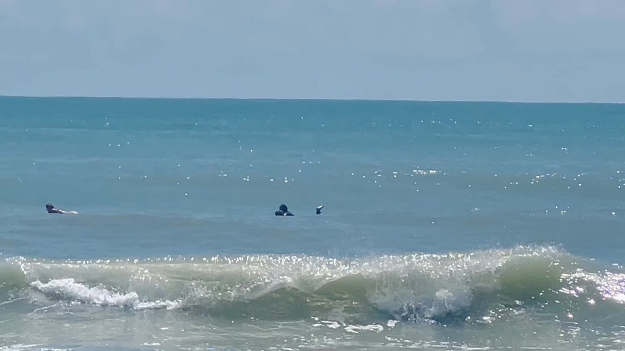 Dollman Beach - Beaches Near Me - Jensen Beach, Florida
