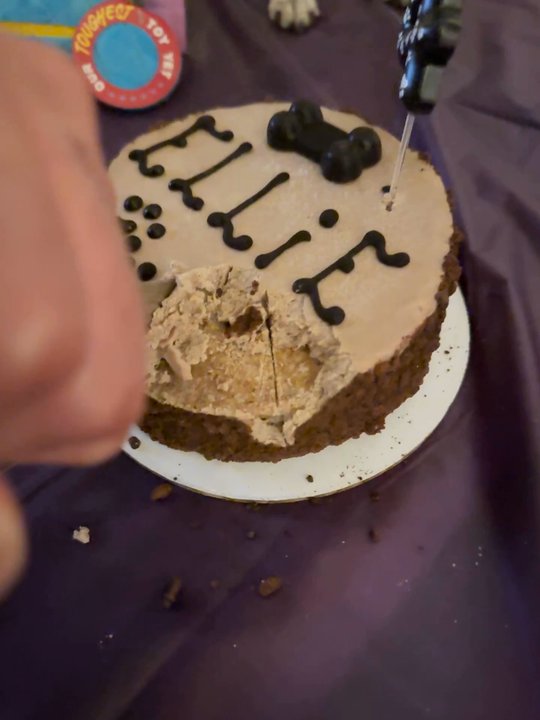 Three Dog Bakery - This was recorded after many attempts of cutting it, as you can tell by the lack of frosting on top, which had crumbled off in pieces. - Pet Stores Near Me - Las Vegas, Nevada