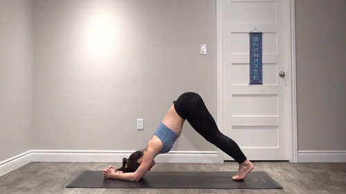 Forearm Stand L1 - Dolphin Pose