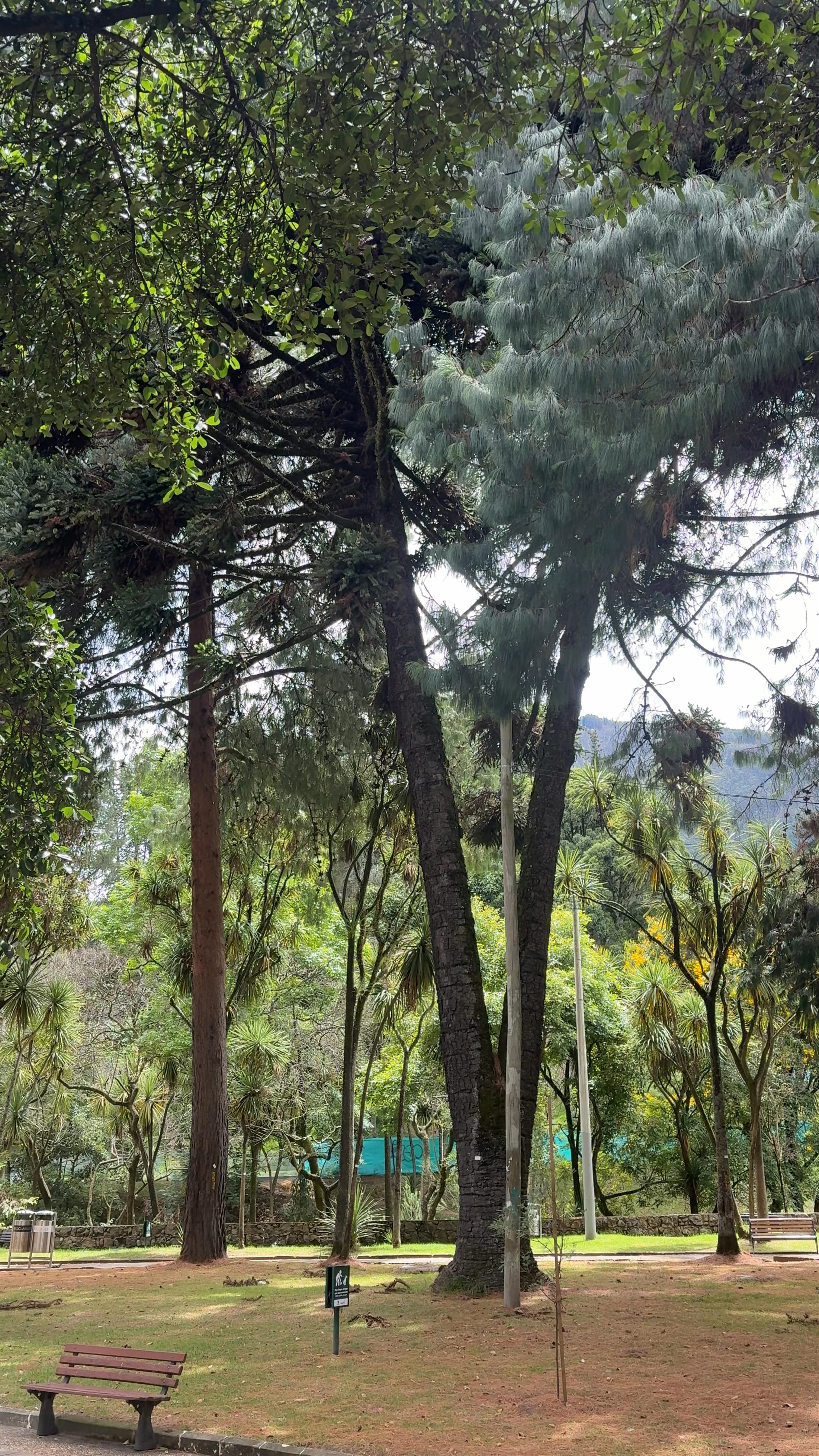 Parque Nacional Enrique Olaya Herrera