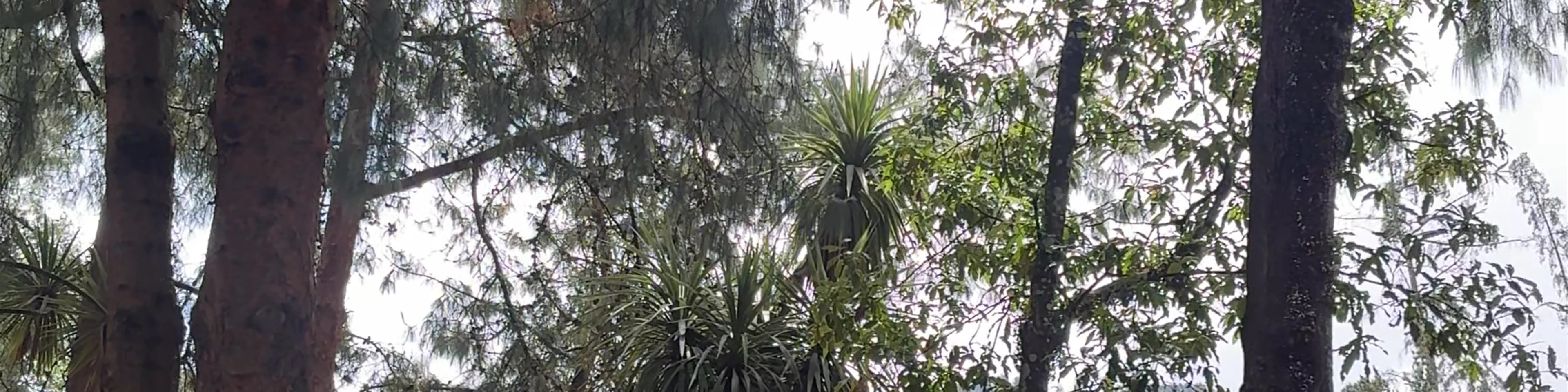 Parque Nacional Enrique Olaya Herrera