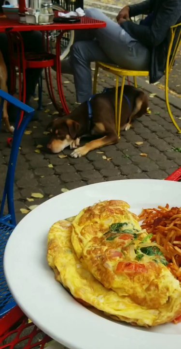 Kitsch'n On Roscoe - Breakfast & Brunch Near Me - Chicago, Illinois