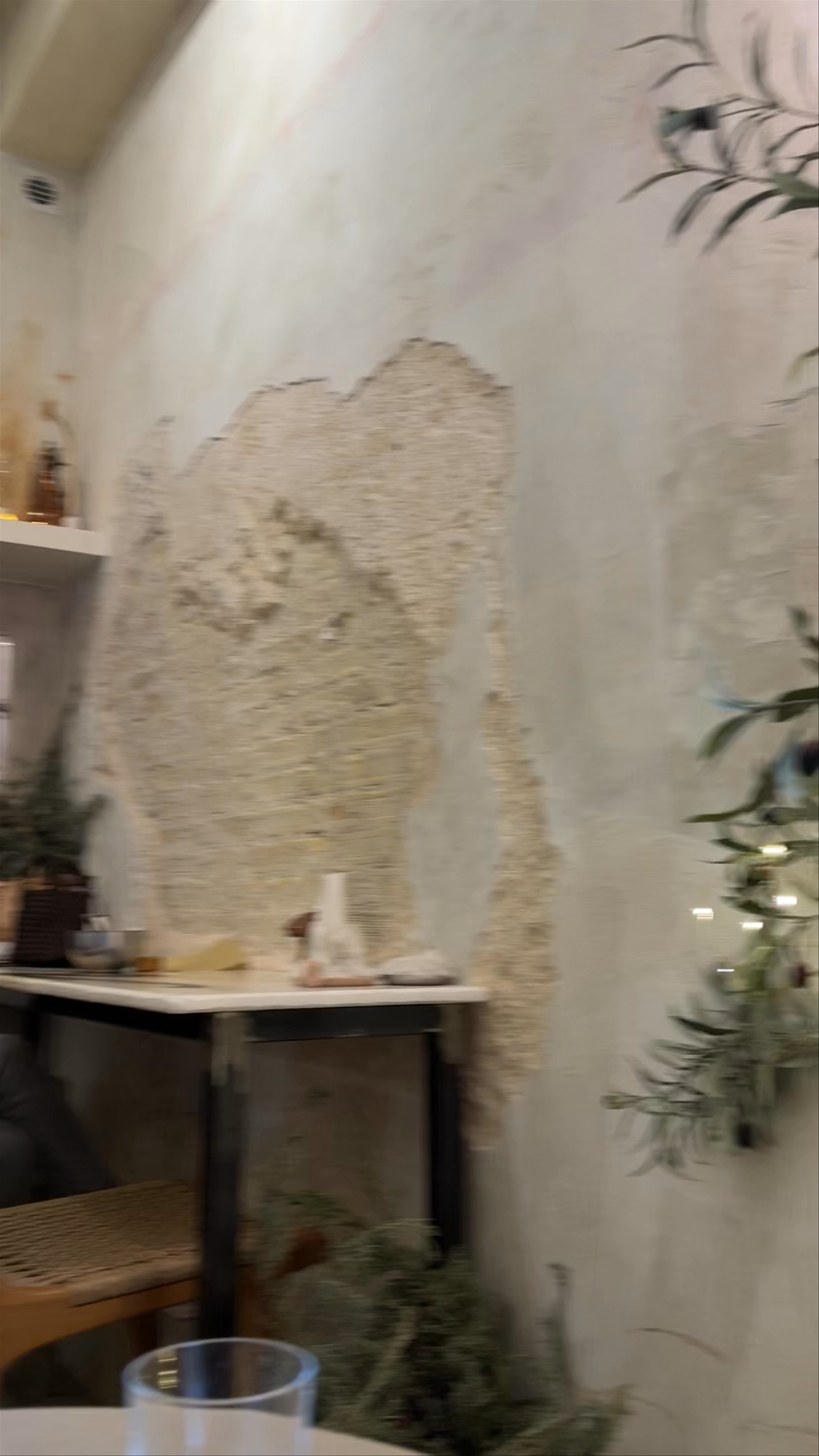 Φαρίν Μουά (Farin Moua)