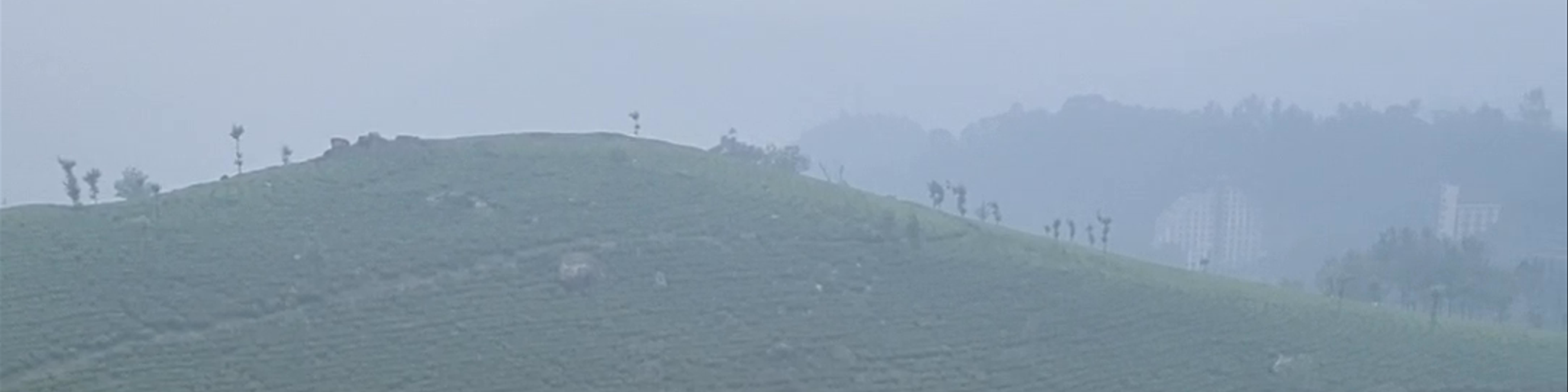 Munnar