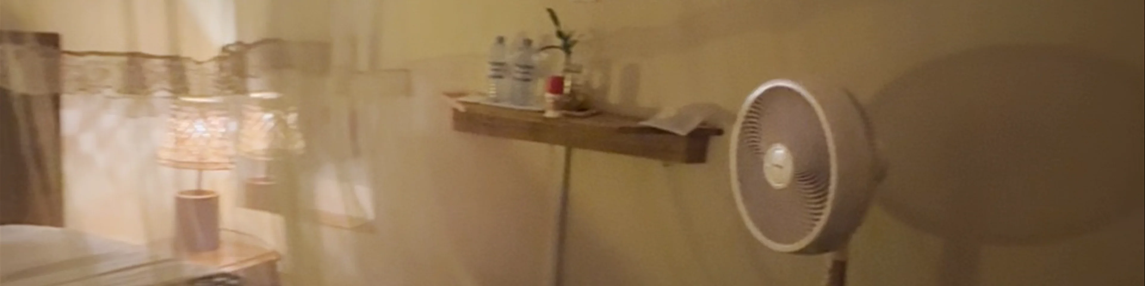 Aivilo Home