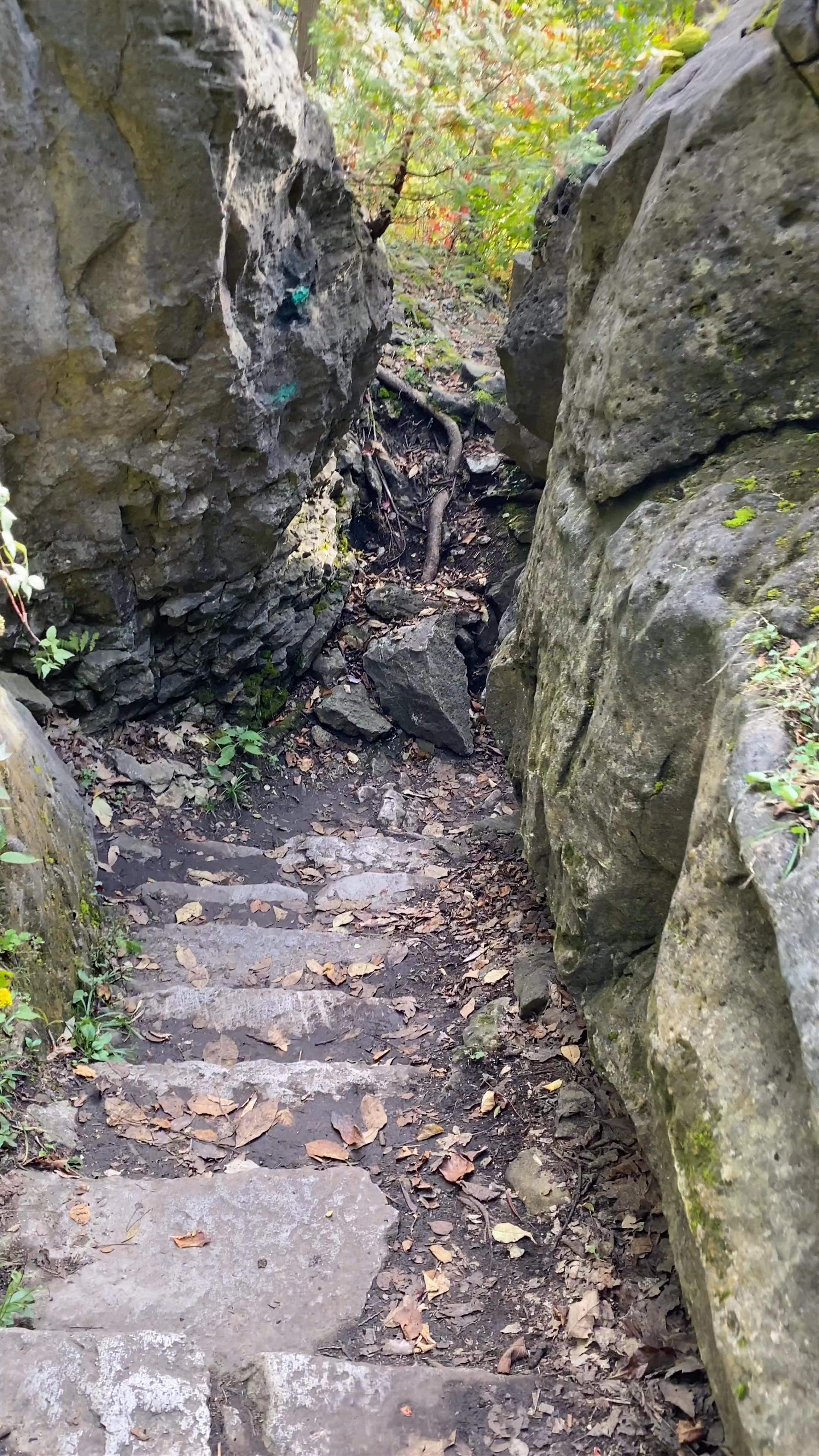 Niagara Glen Nature Centre: Rugged Rocky Trail Walk