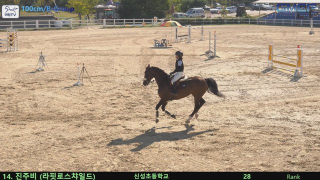 진주비 (라핏로스챠일드) — 2026 경북오픈 구미 Show Jumping · 장애물 100cm