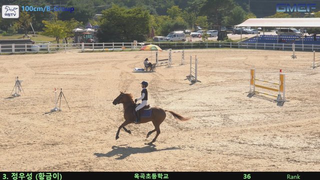 정우성1 (황금제왕) — 2026 경북오픈 구미 Show Jumping · 장애물 100cm