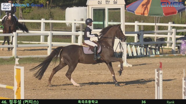 정우성1 (커티스) — 2026 경북오픈 구미 Show Jumping · 장애물 100cm