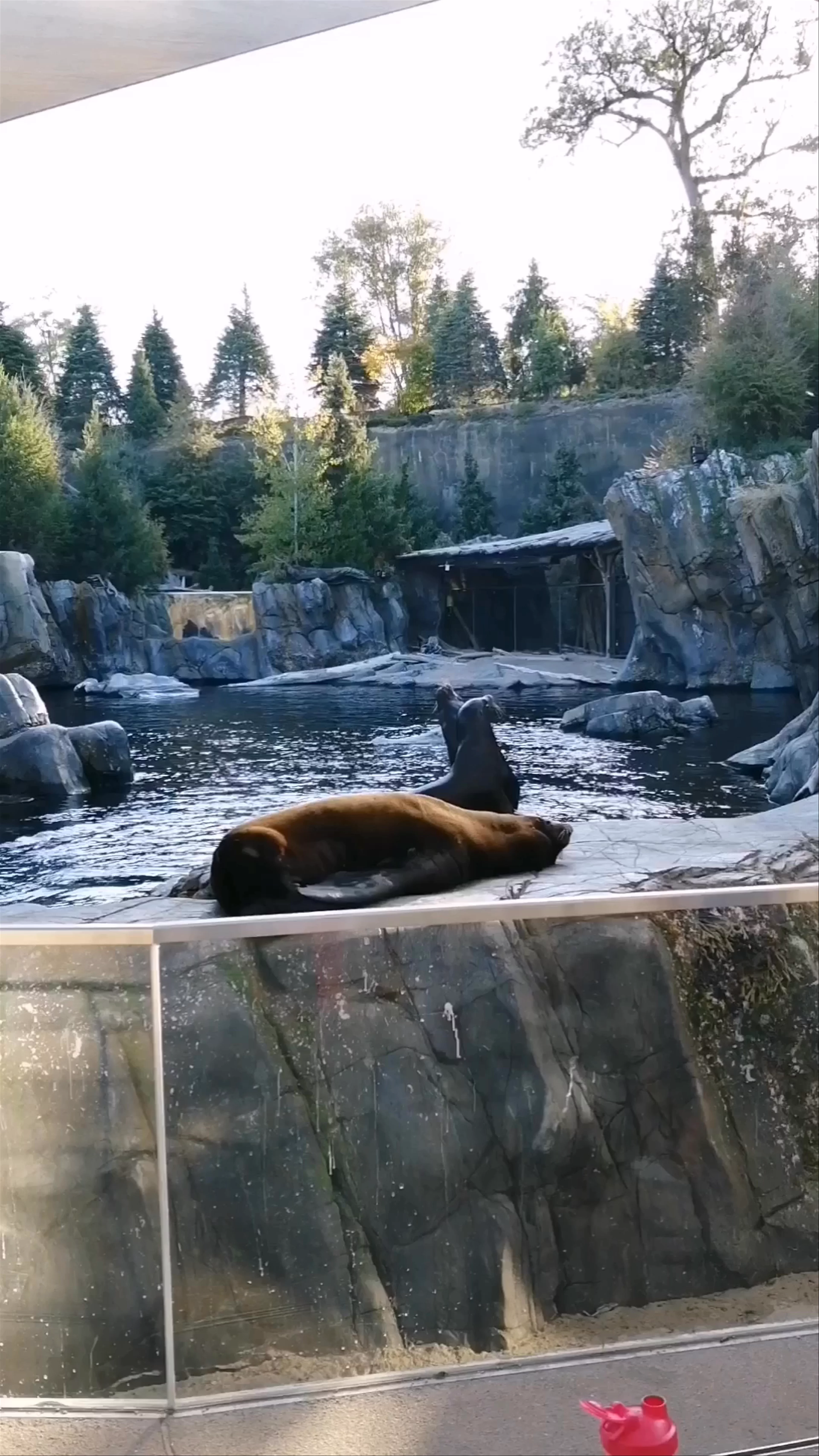 Omaha's Henry Doorly Zoo and Aquarium