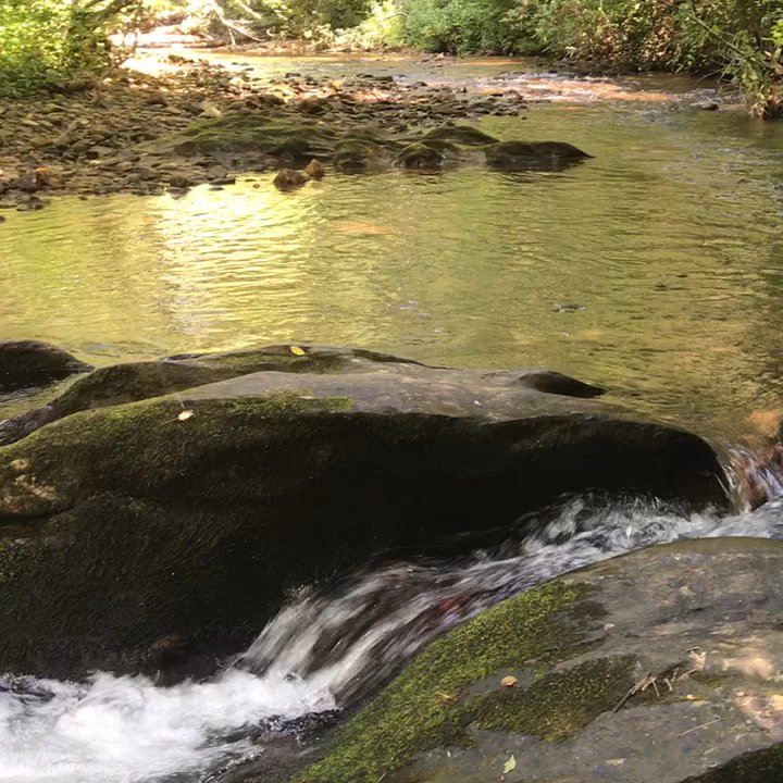 Dicks Creek Falls - Hiking Near Me - Cleveland, Georgia