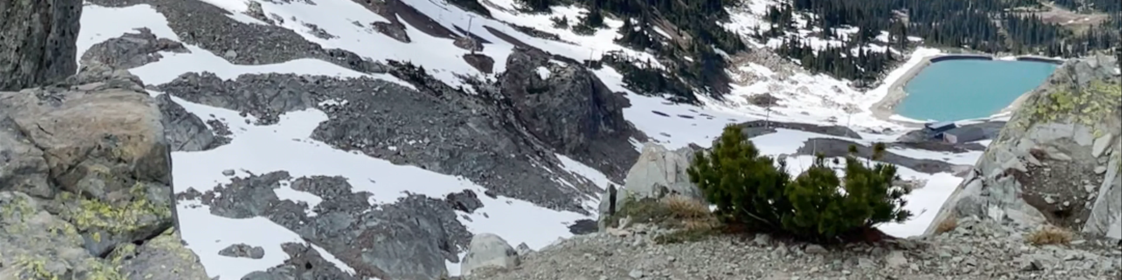 Whistler Blackcomb