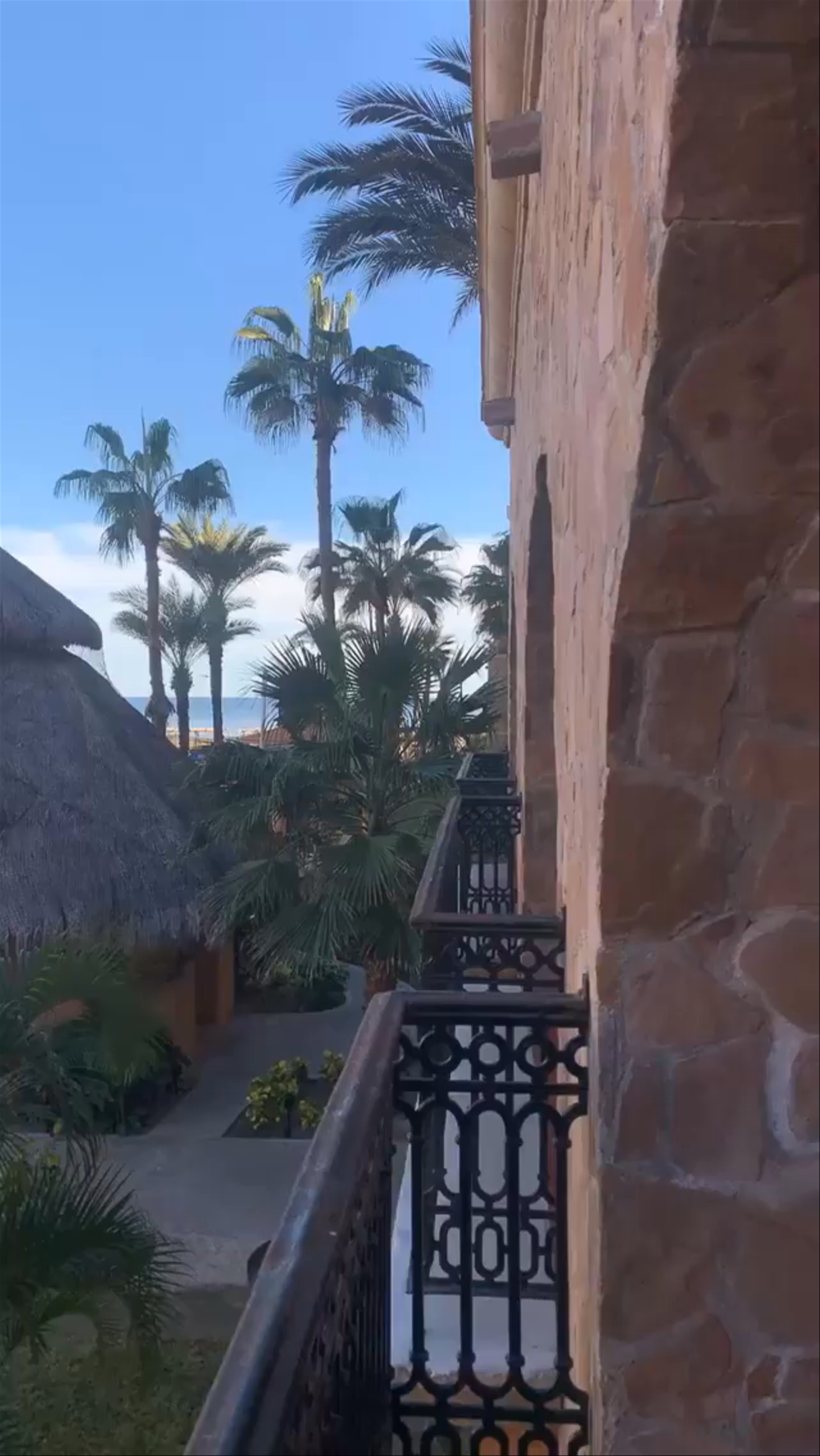 Sun-Kissed Tranquility at Royal Solaris Los Cabos