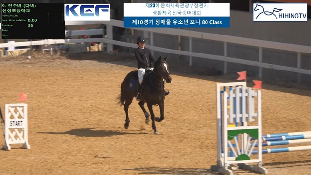 진주비 (다비) — 제23회 문화체육관광부장관기 생활체육 전국승마대회 (마장마술&생활체육&유소년) · 장애물 80cm