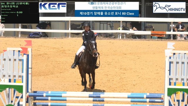 권나희 (신촌비룡) — 제23회 문화체육관광부장관기 생활체육 전국승마대회 (마장마술&생활체육&유소년) · 장애물 80cm