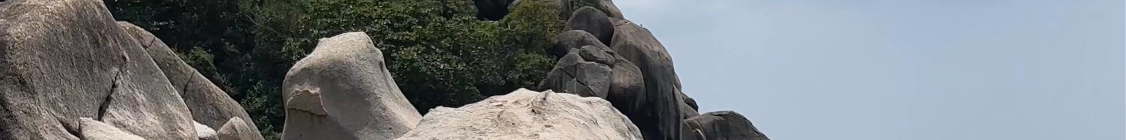 Tours & experiences in Koh Tao