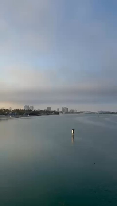 305 Half Marathon & 5k - Julia Tottle Causeway segment - Races & Competitions Near Me - Miami Beach, Florida