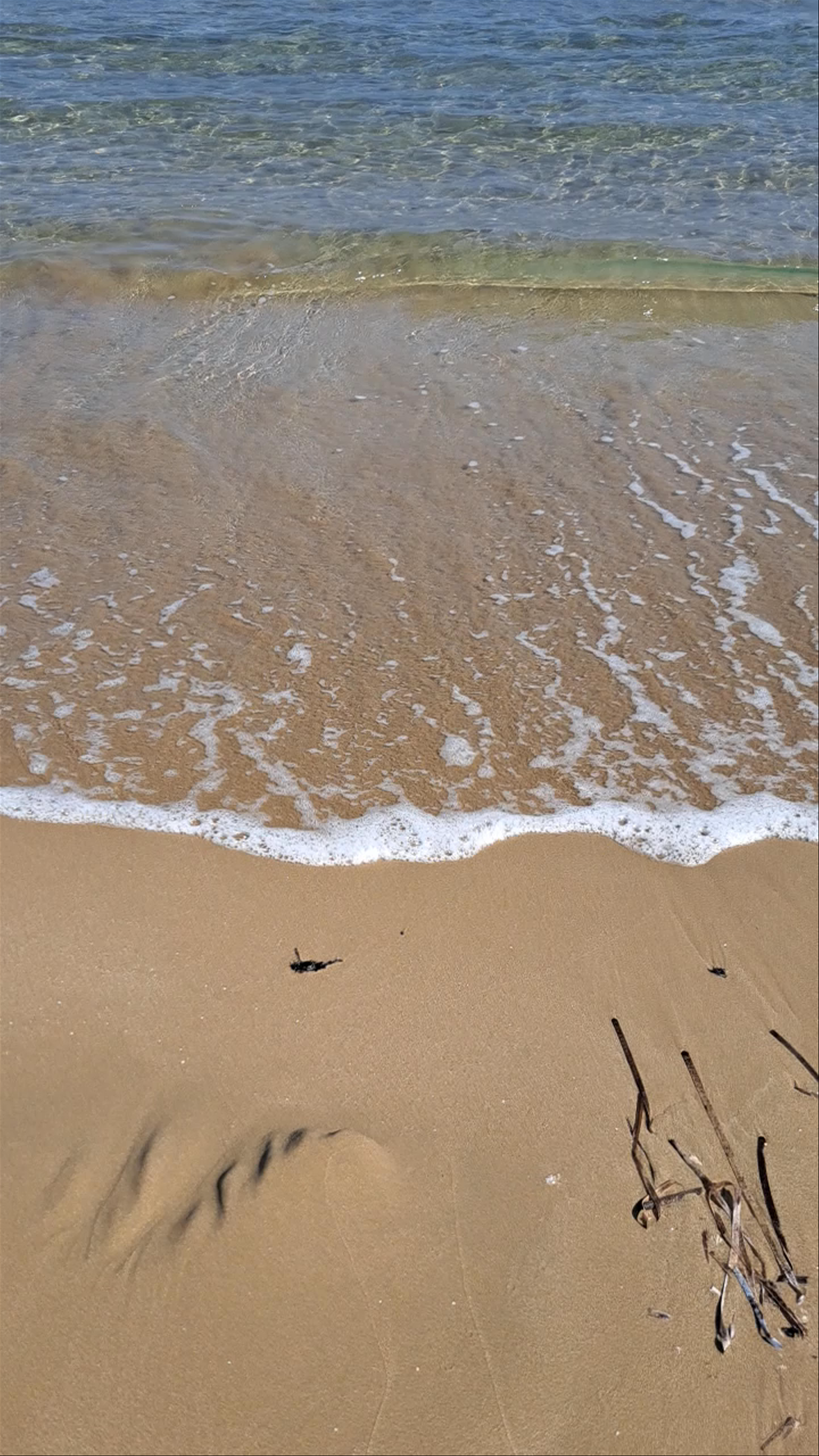 beach Gouves