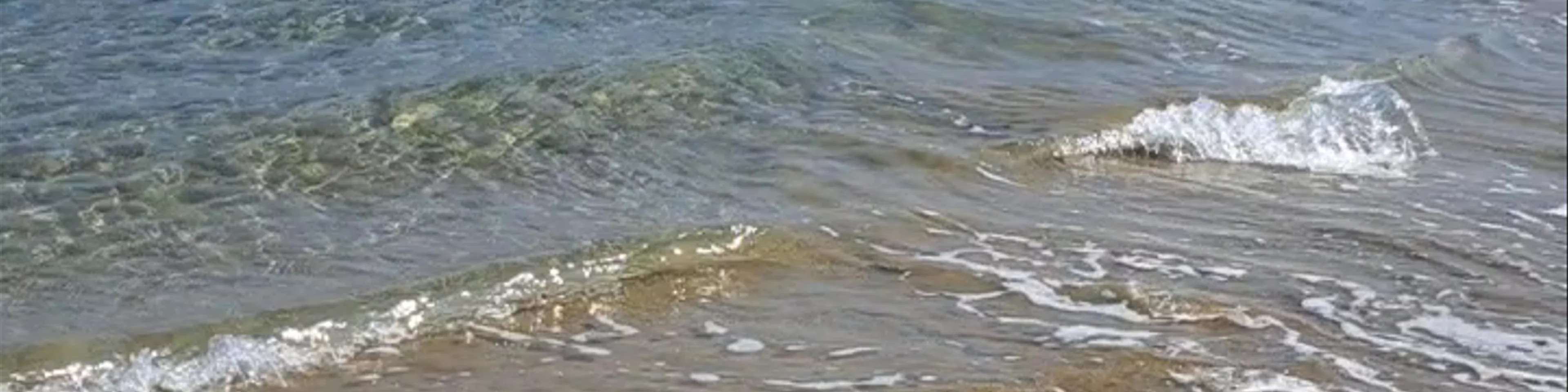 beach Gouves