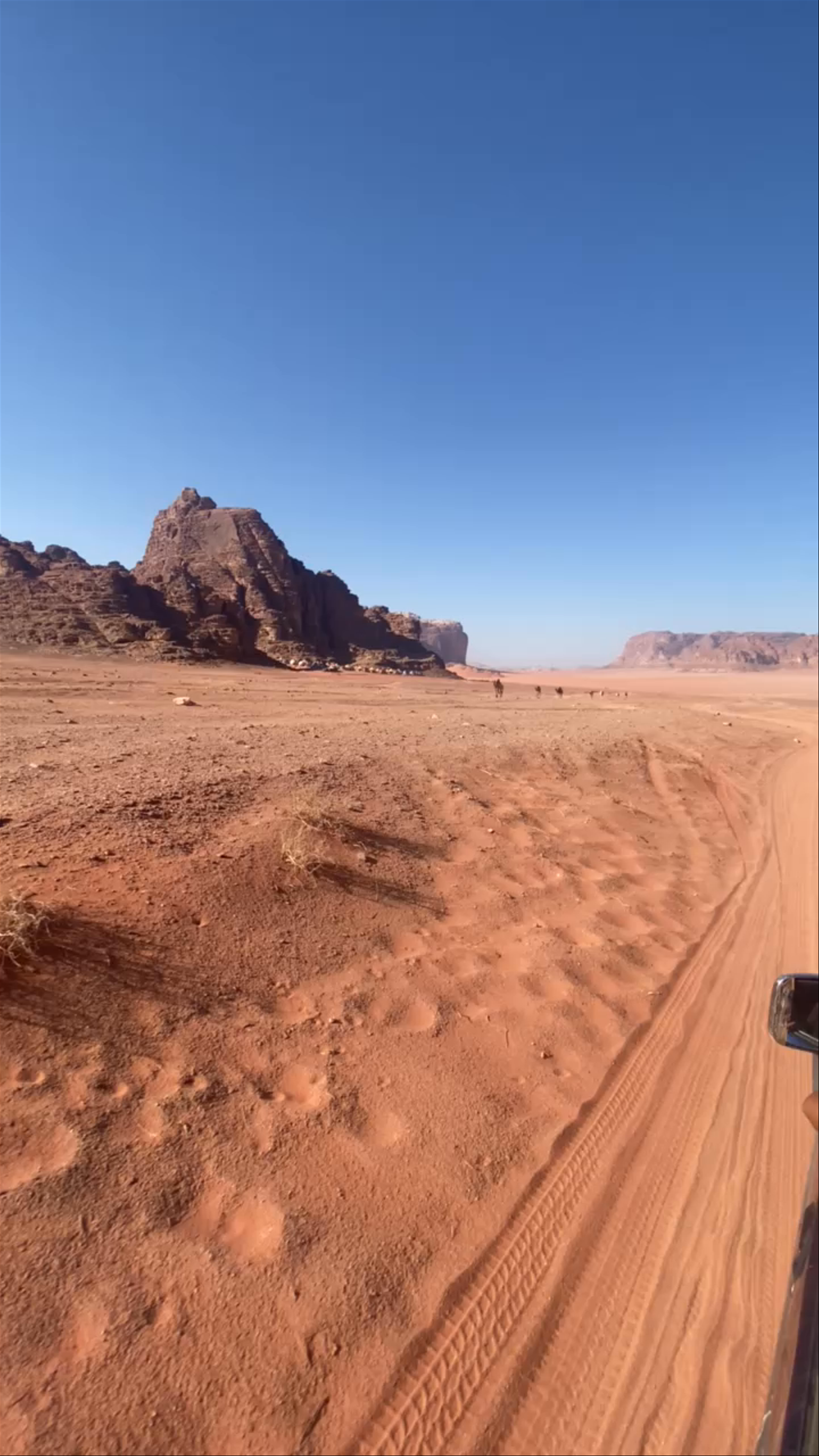 Wadi Rum Reserve
