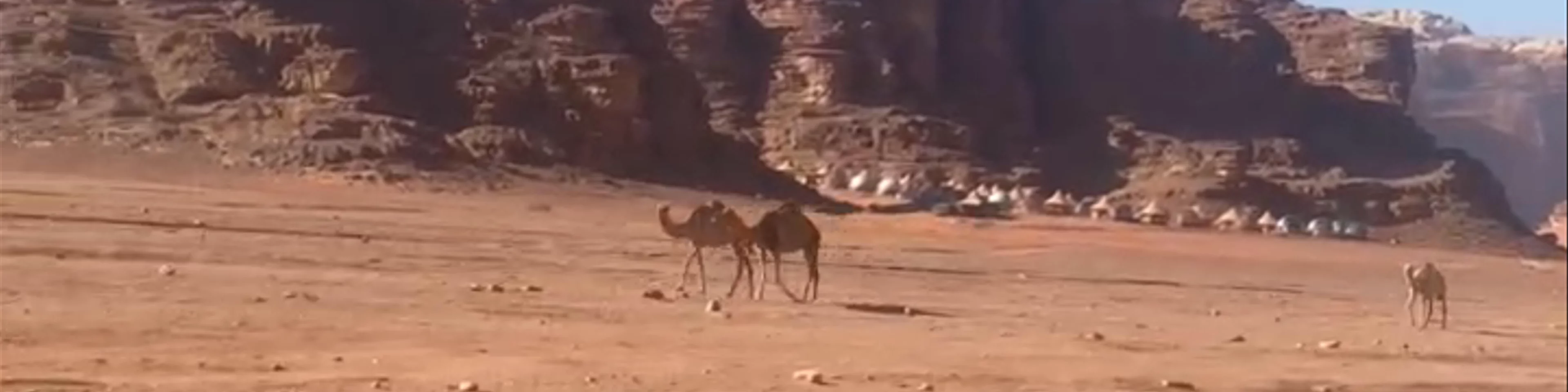 Wadi Rum Reserve