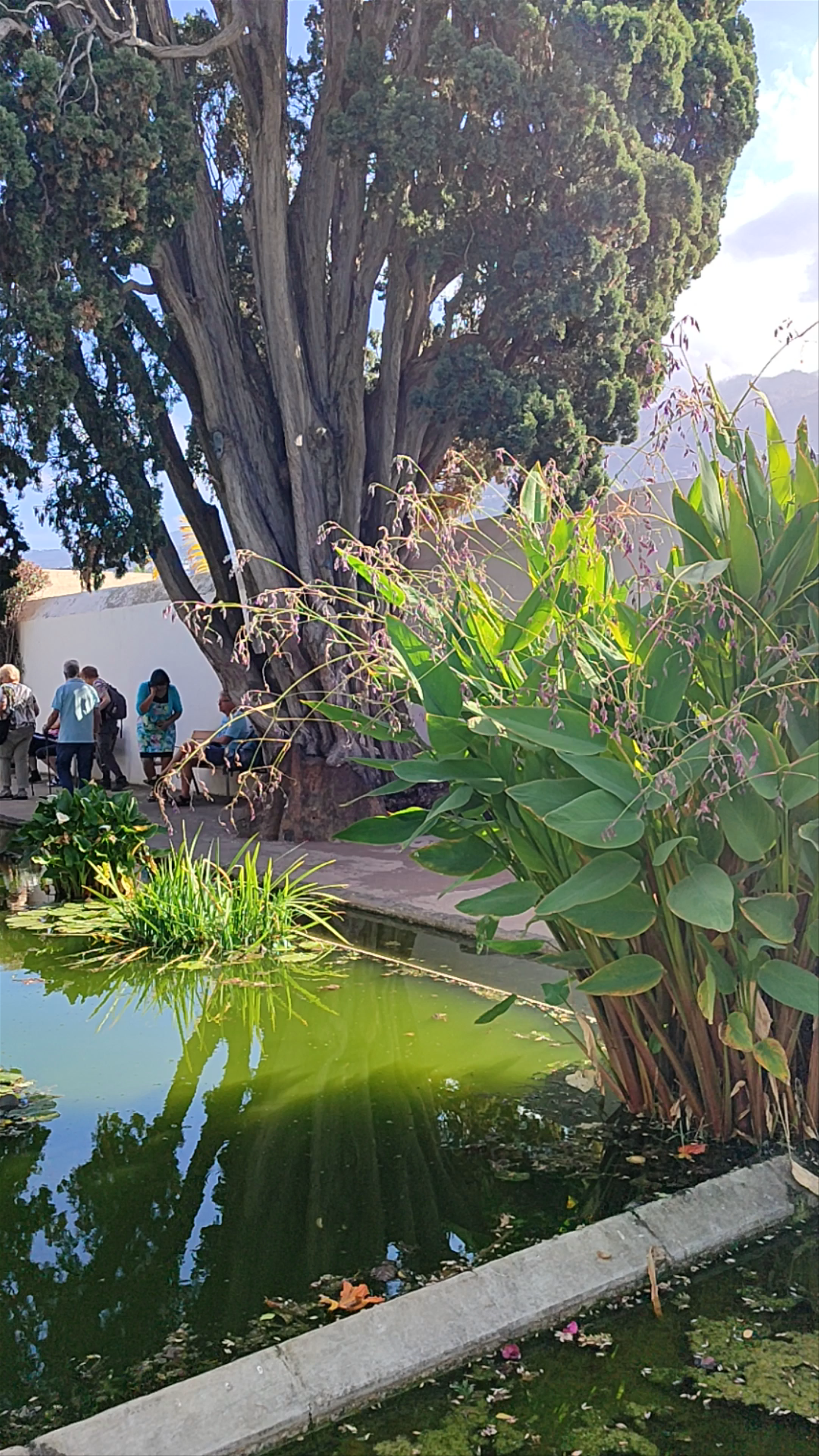 Jardín Botánico