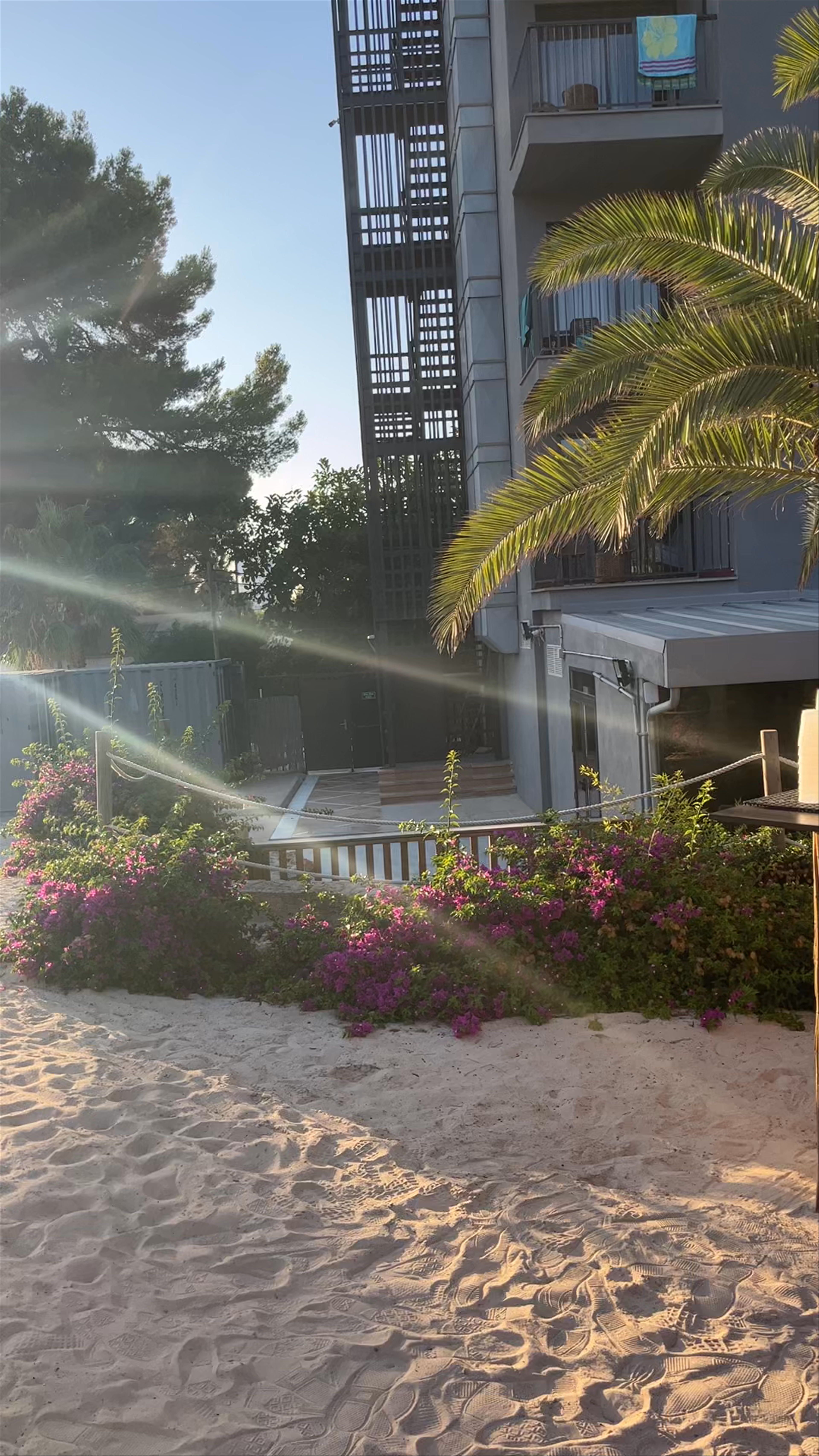 Cook's Club Palma Beach