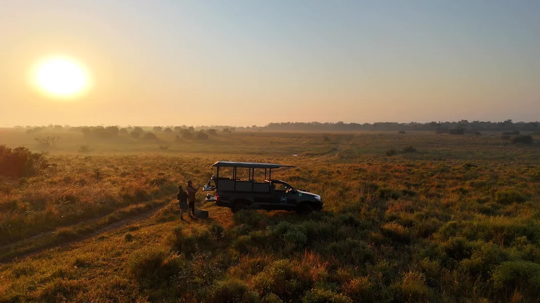 A safari vehicle pauses beside a large herd of buffalo grazing in open grassland.