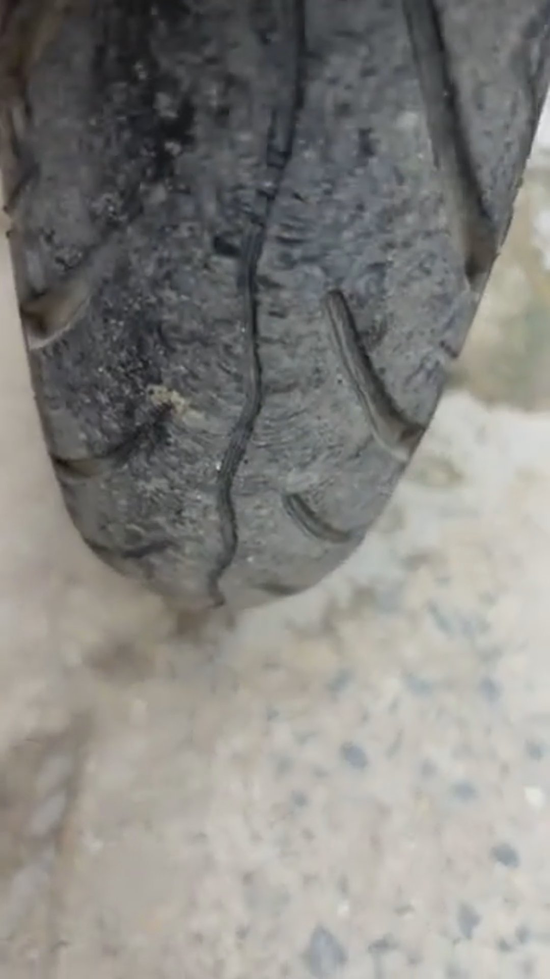 Walk-around video thumbnail